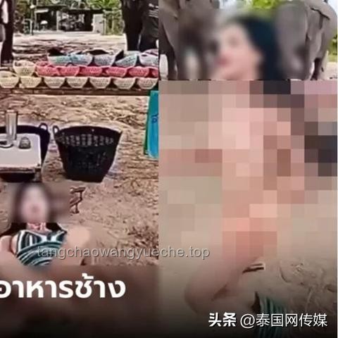 新一代“网红水果”风靡全网！带货主播这招营销秘籍太狠了！